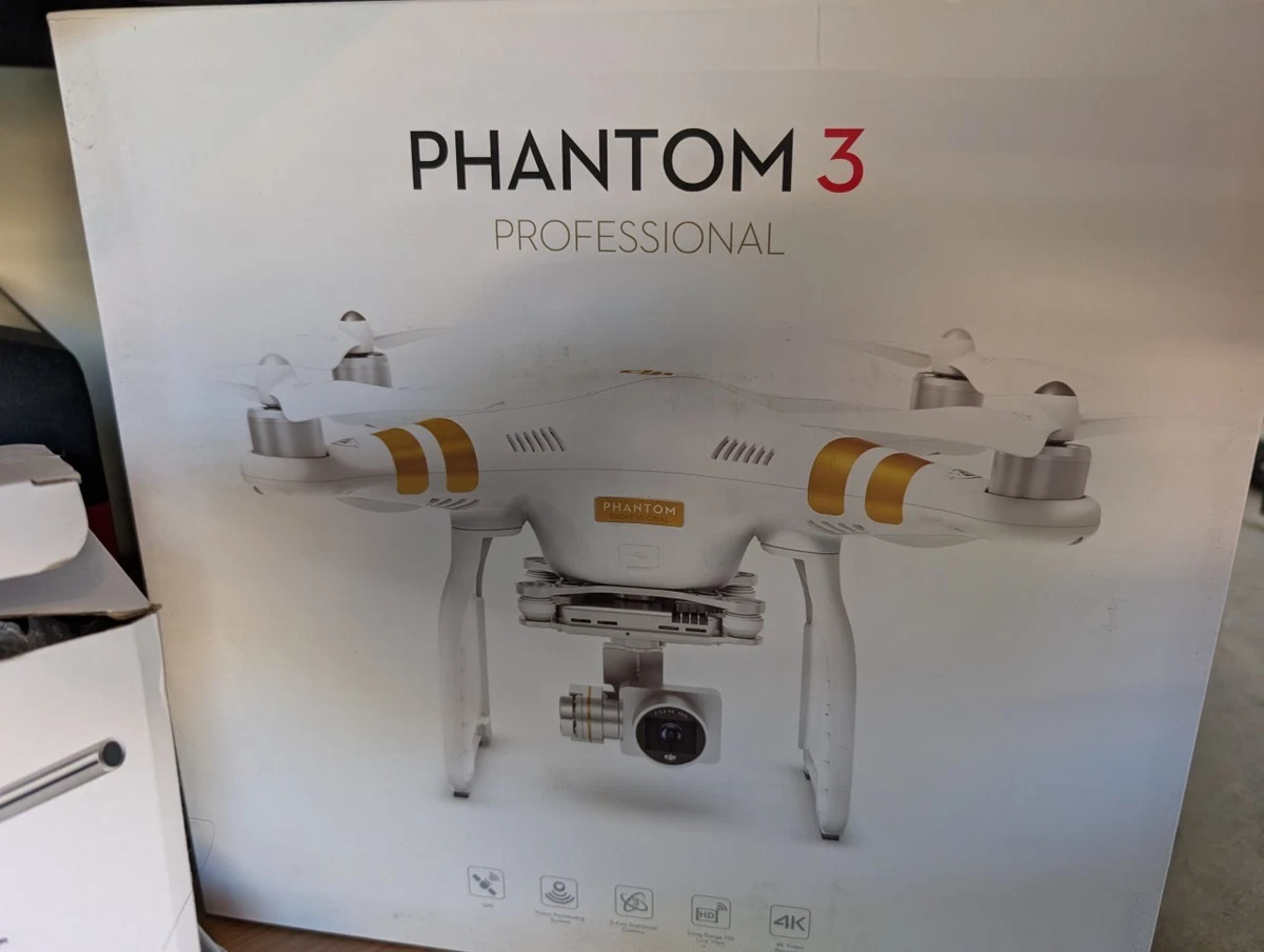 DJI Phantom 3 Professional 21-25 min Camera Drones for Sale | Shop