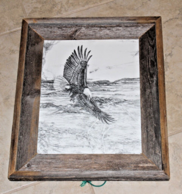 Wendell G Williamson 2012 Pencil Drawing Patriotic Eagle Vigil From on High