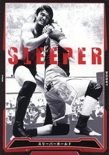 Pro Wrestling C Boost Vol 16 WRESTLE KINGDOM10 BT16087C Sleeper HCode Used WW7