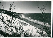 1970 Napeaague Bay Nature Conservancy Ny State Park 8X10 Historic Vintage Photo