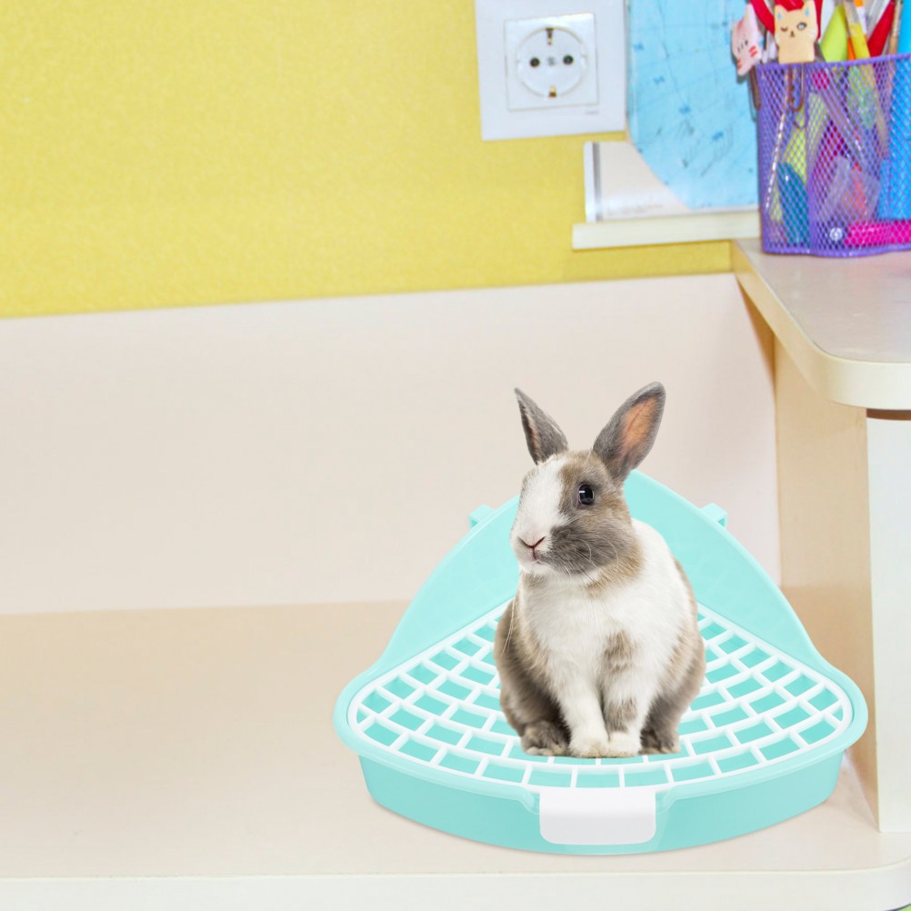 Lettiera Per Furetti Conigli Di Medie Dimensioni Cestino Gatto Terra Lettiere