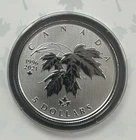 2021 $5 Fine Silver Coin -Moments to Hold - Our Beloved Maple
