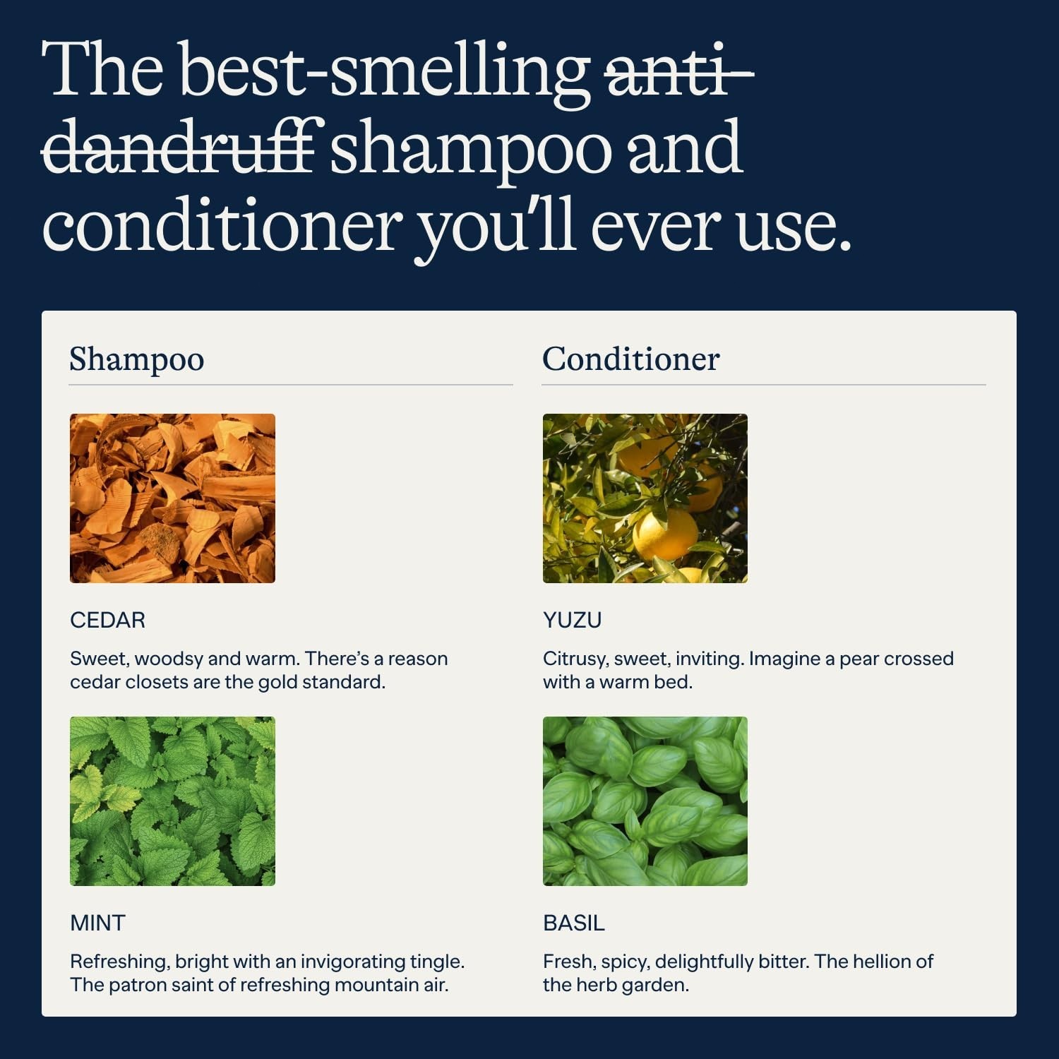 Flakes Complete Bundle Shampoo & Conditioner - Anti-Dandruff Hair Care Set