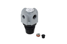 Milton  Mini Heavy Duty Regulator, 1/4" NPT