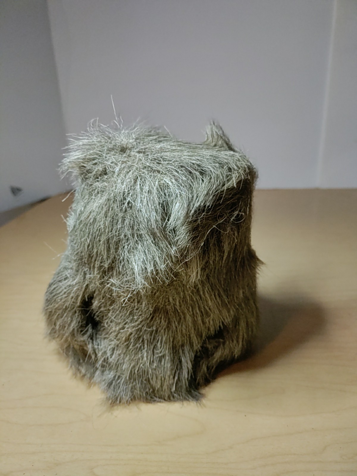 Picture 5 of 11