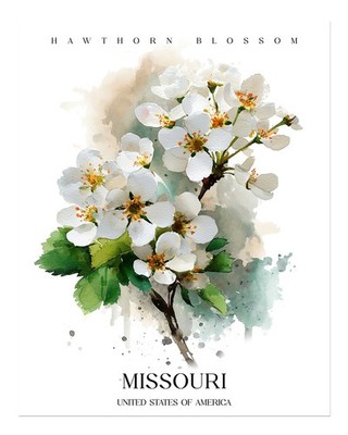 Wei�dornbl�ten Wandkunst Florale Dekoration Aus Missouri Aquarell Na