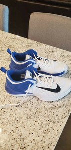blue and white nike volleyball shoes