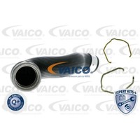 Vaico Ladeluftschlauch FüR VW Passat Variant 3B6 1.9 TDI 3B3 Skoda Superb I 3U4