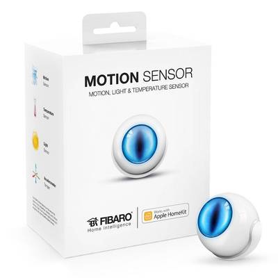 fibaro motion sensor google home