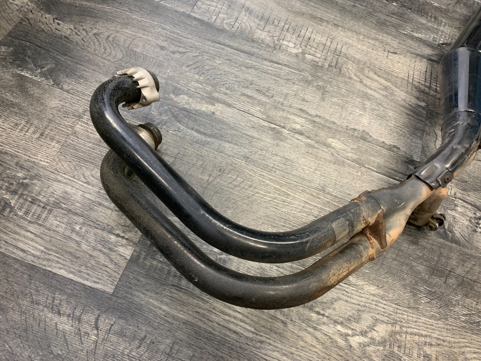 Honda 19841986 CB700SC 700 Nighthawk OEM Left Muffler Exhaust Head