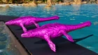 Ark Ascended - PVE - PC/XBOX/PS5 [Visual Solid 210 992% Mosa Pair 100% Impr]