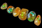 62.6Ct African Polished Black Opal Cab Specimen for Bracelet PYBB185 — photo 3