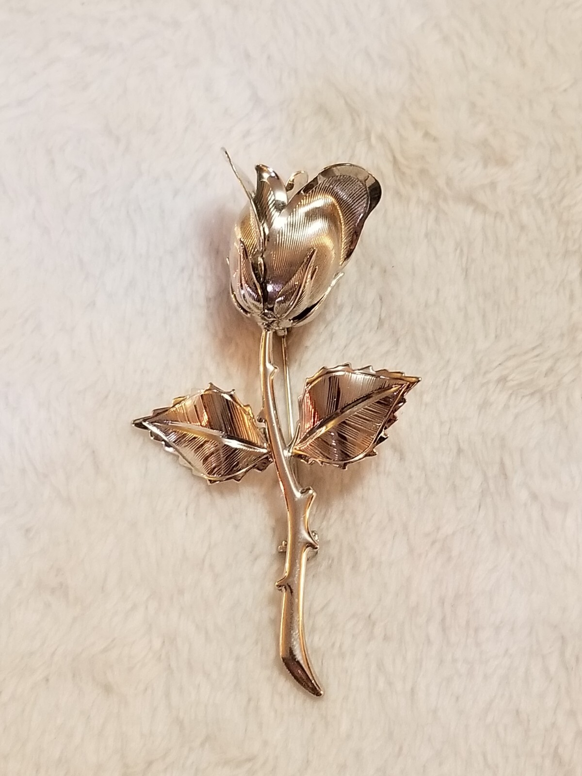 Picture 1 of 6