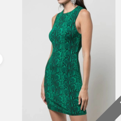 green dress with black coat Aunamd print dress