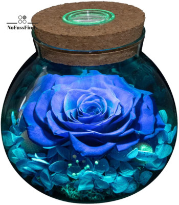 Preserved Real Roses with Colorful Mood Light Wishing Bottle, Eternal Rose，Never
