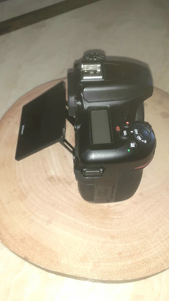 Nikon D7500, photo 4 of 5