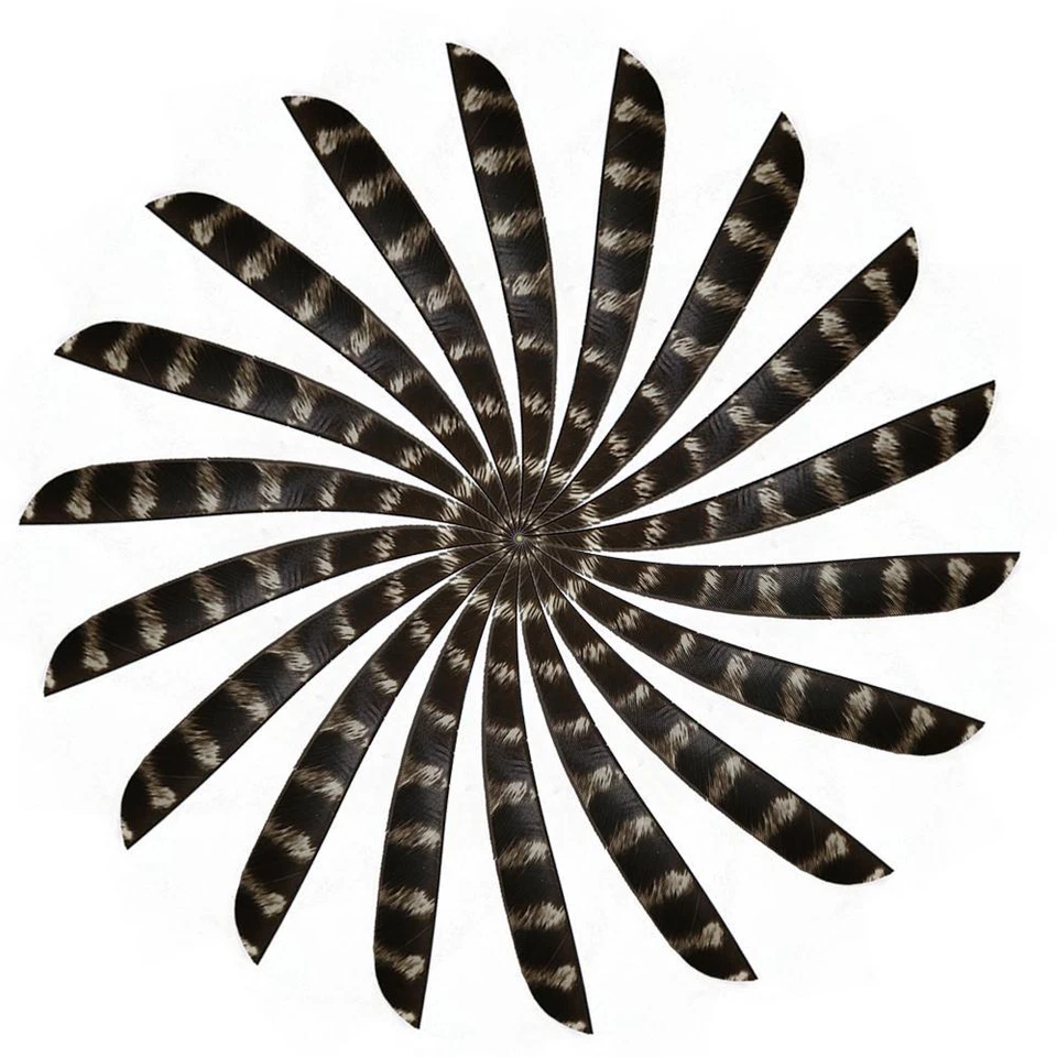 4" 5" Right Wing Archery Turkey Feathers Wooden Carbon Arrows Fletching Fletches - Image 2 of 4