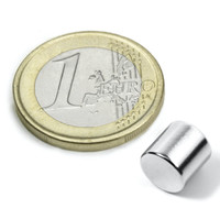 10 X Scheibenmagnet Rundmagnet Ø 8 Mm, HöHe 8 Mm Neodym (Ndfeb) N42 - HäLt 2,5Kg