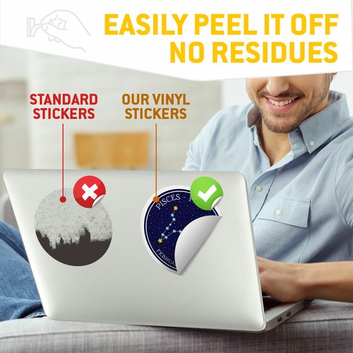 2 x Vinyl Stickers 30cm - Pisces Constellation Star Space Horoscope Cool Gift #7 - 第 5/9 張圖片