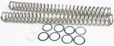 RACE TECH 2019 200 RR (2T) Beta FORK SPRING 0.50KG FRSP 434650