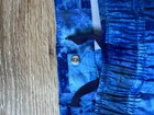 Bild 3 von 4