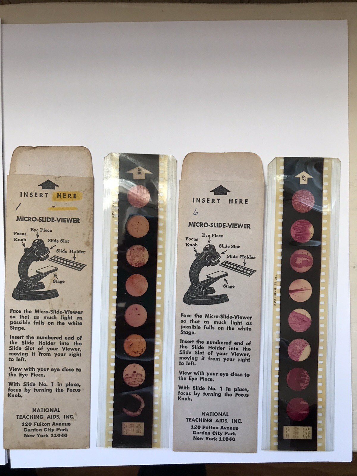 National Teaching Aids, Inc Slide Holders For MicroSlideViewer eBay