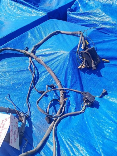 vanagon FUEL INJECTION WIRING HARNESS 1984-1992 COMPLETE EXCELLENT W/RELAYS - Picture 4 of 20