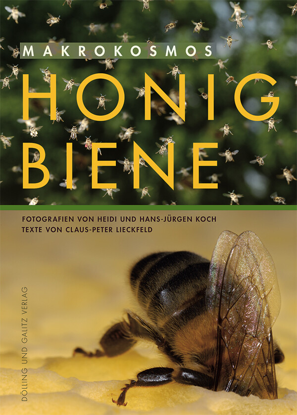 Thumbnail - Hans-jürgen Koch (u. A.) | Makrokosmos Honigbiene | Taschenbuch |
