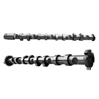 2X Einlass Auslass Nockenwelle FüR Audi A3 A4 TT VW Golf V Passat Seat Skoda 2.0