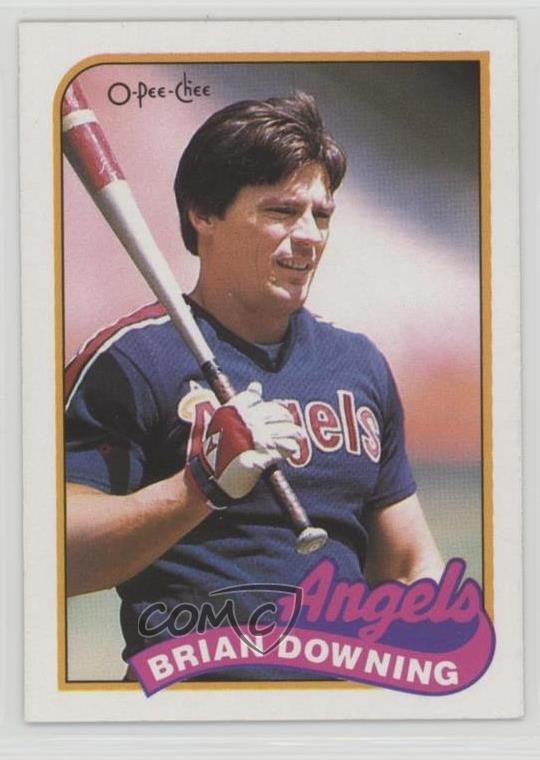 1989 O-Pee-Chee Brian Downing #17 0q3
