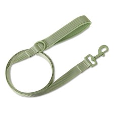Medium to large dog padded solid color leash, sage green, 6 feet