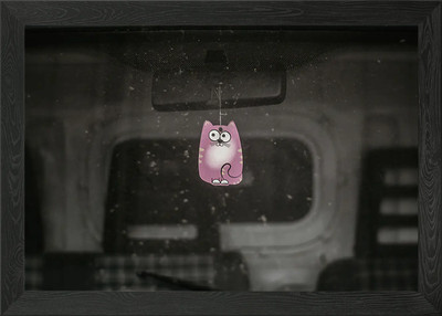 Cat alone Framed Wall Art Poster Canvas Print Picture