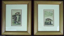 SUPERB COLLECTIBLE PRINT SET FRAMED FRENCH ANTIQUE BAT ENGRAVINGS ? 19TH CENTURY