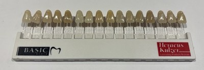 Heraeus Kulzer Vita Shade Guide A1-D4