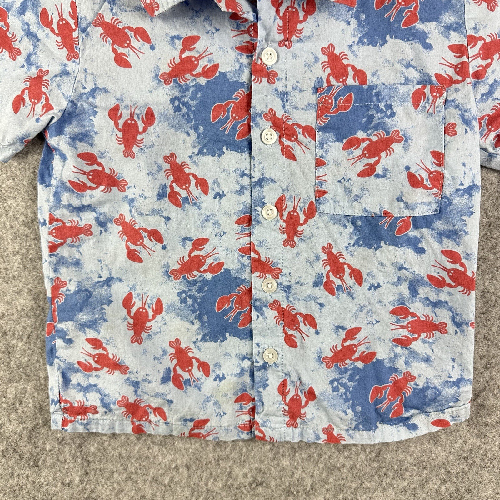 Picture 4 of 12