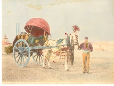 Italie, Roma, Caro da vino, costome romano vintage albumen print.  alb print