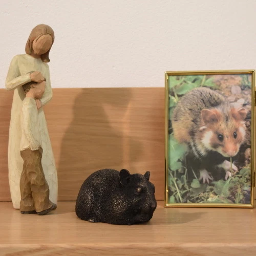 Hamster store outlet