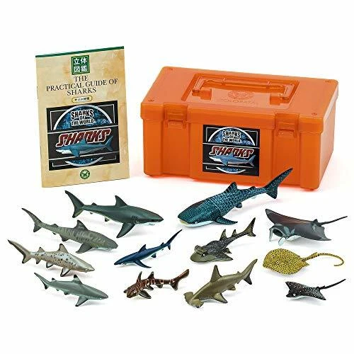 NEW Colorata Real Figure box 975527 Shark