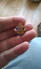 WW1 Allies United to Serve Vintage Button Hole Enamel Badge