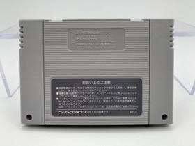 SIMEARTH Sim Earth Super Famicom With Box & Manual US Seller SFC1097
