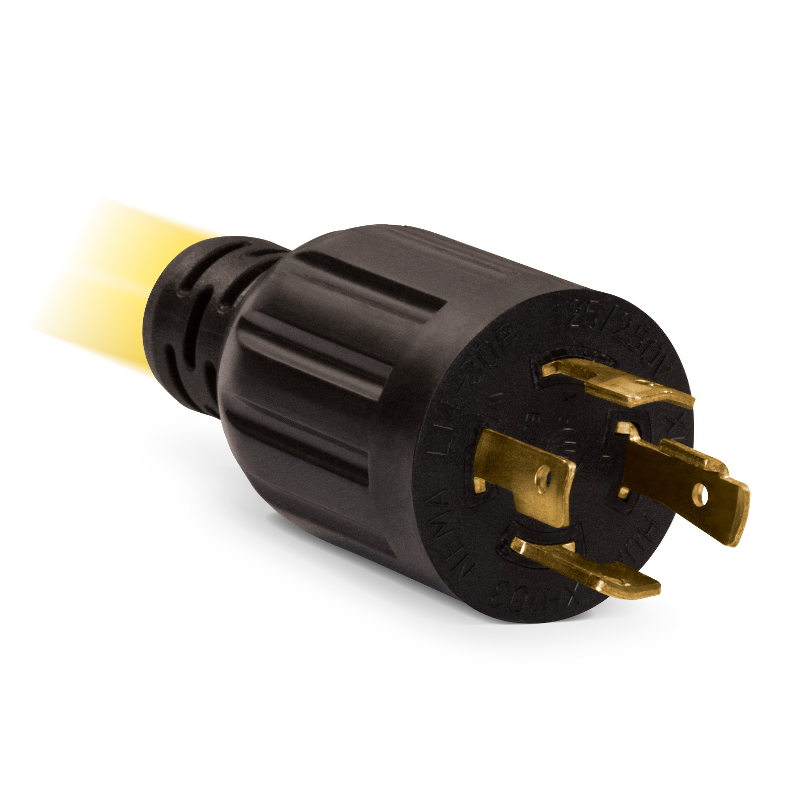 Champion Power Equipment 25 ft. 30 Amp 240-Volt Generator Power Cord