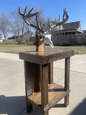 deer whitetail antlers