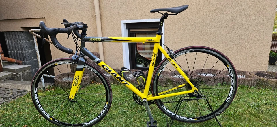 Rennrad Giant - Bild 2 von 4