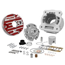 Cilindro Malossi DM 52 MHR 94cc FLANGED MOUNT SR 50 2T LC Mot Piaggio - MF6307
