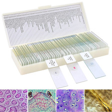60 Microscope Slides with Specimens for Kids, Prepared Microscope Slides for Kid