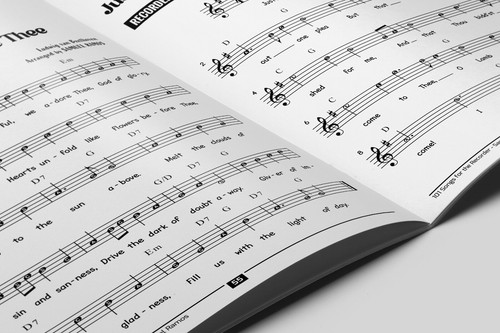 Recorder Songbook: 101 Tunes for All Occasions - Picture 6 of 8