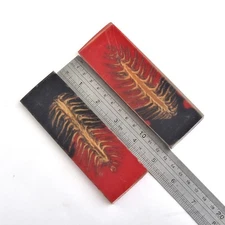 Custom Made Pine Cones Resin Pair Scales For Knife Making Handle