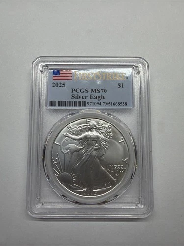 2025 American Silver Eagle — photo from the most recent tracked eBay sale