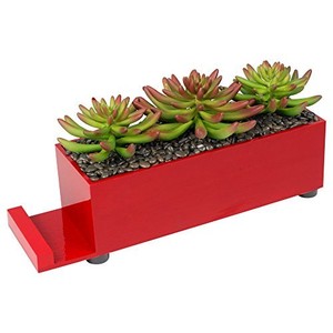 Red Wood Succulent 16 5x8 Inch 4 Usb Port Decorative Tabletop