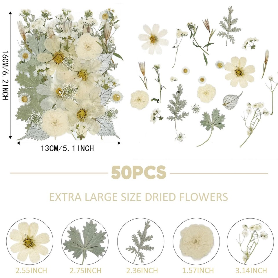 50Pcs Large Dried Pressed Flowers for Resin Molds, Real Dry Natural